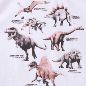 Y2K Aesthetic Age of Dinosaurs Tee - Retro 2000s Fashion Top